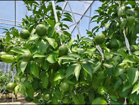 �ഺ�x�����r(n��ng)��̽�¡����Ͼ�������W(xu��)̩�݌W(xu��)Ժ���t����ī������������`�o����14��