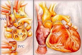 �y��ǰ������۔[�� �������[���ˡ�������`꠳ɹ��e�k���K��I֪�R���όW�����