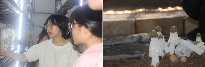 ̽���_Դ�F(xi��n)���r(n��ng)�I(y��)�����w��ʹ־Ը����(w��)����M(j��n)�ٹ��r(n��ng)�I(y��)�c�����r(n��ng)��