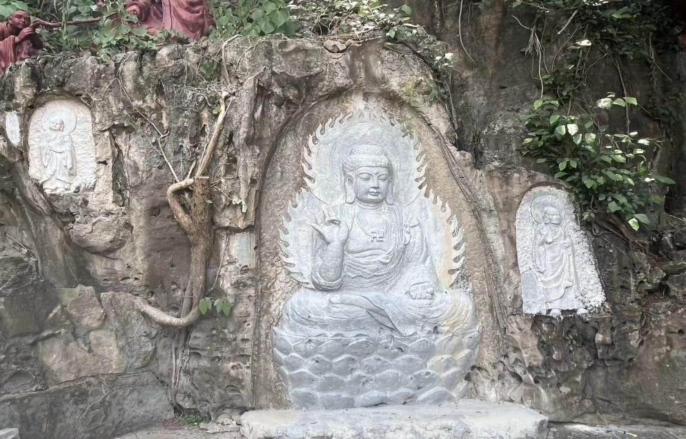 ����й�����N������ƪ