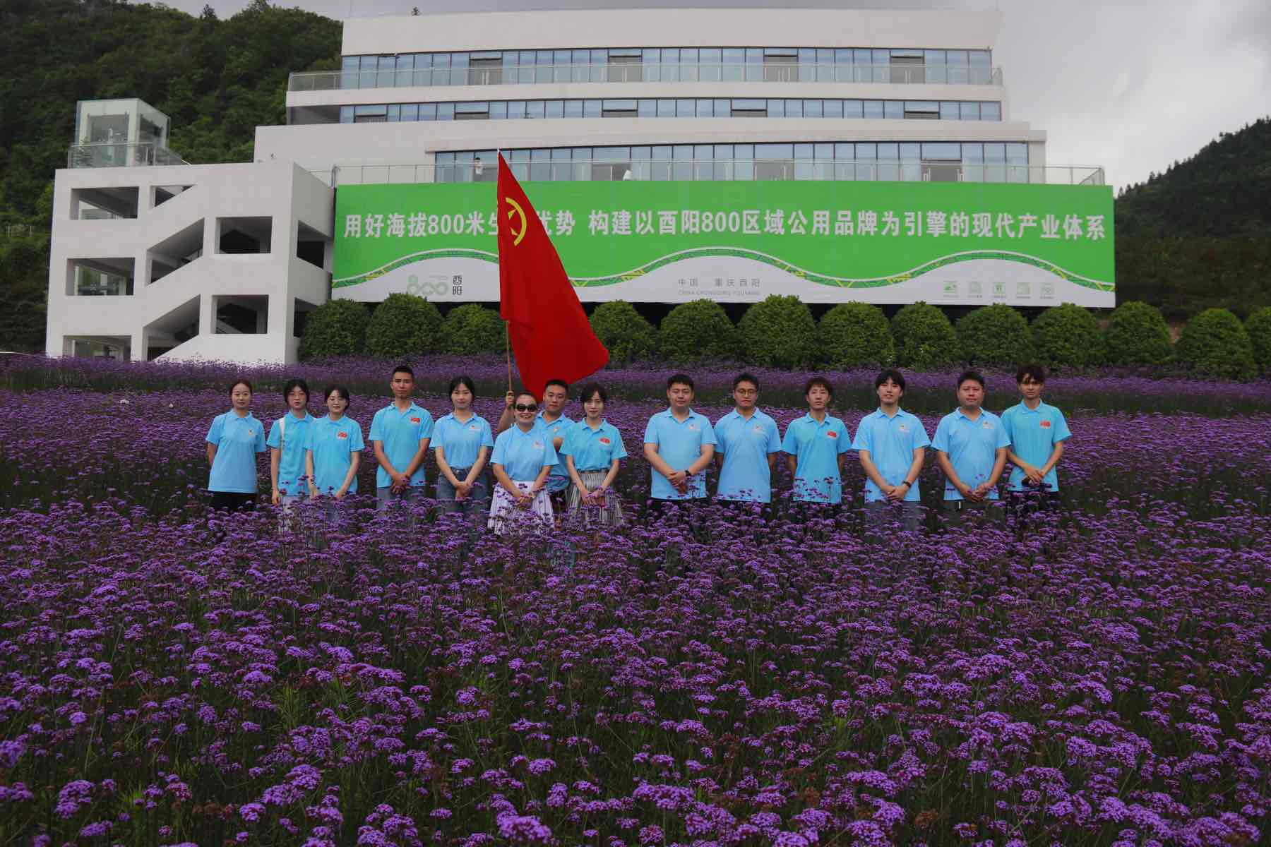 ����F(tu��n)�Y(ji��)�������l(xi��ng)�����l(xi��ng)�����dչ���