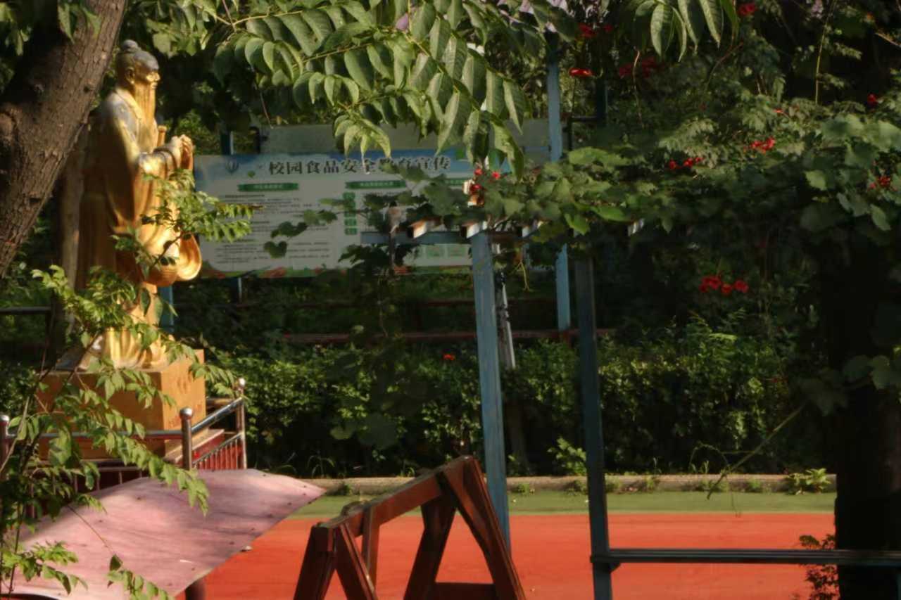 ���c������Ͷ���l(xi��ng)������l(f��)չ