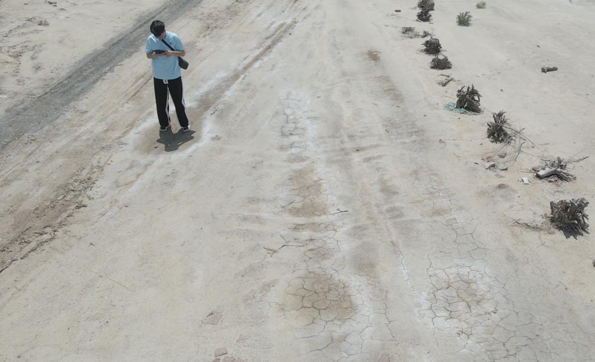 �}�A���ϵľGɫ���������u�r(n��ng)��F(tu��n)�(du��)�{(di��o)�мo(j��)��(sh��)