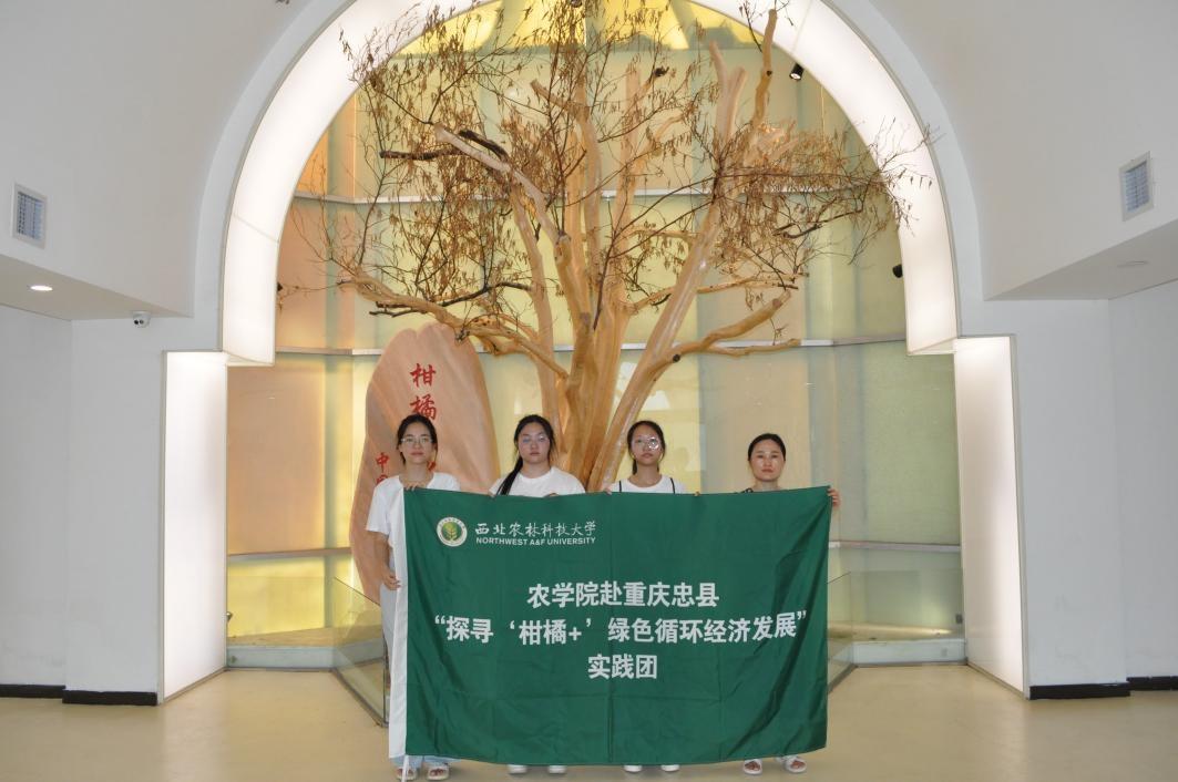 ���`�F���^���ٕr���^��Ӱ