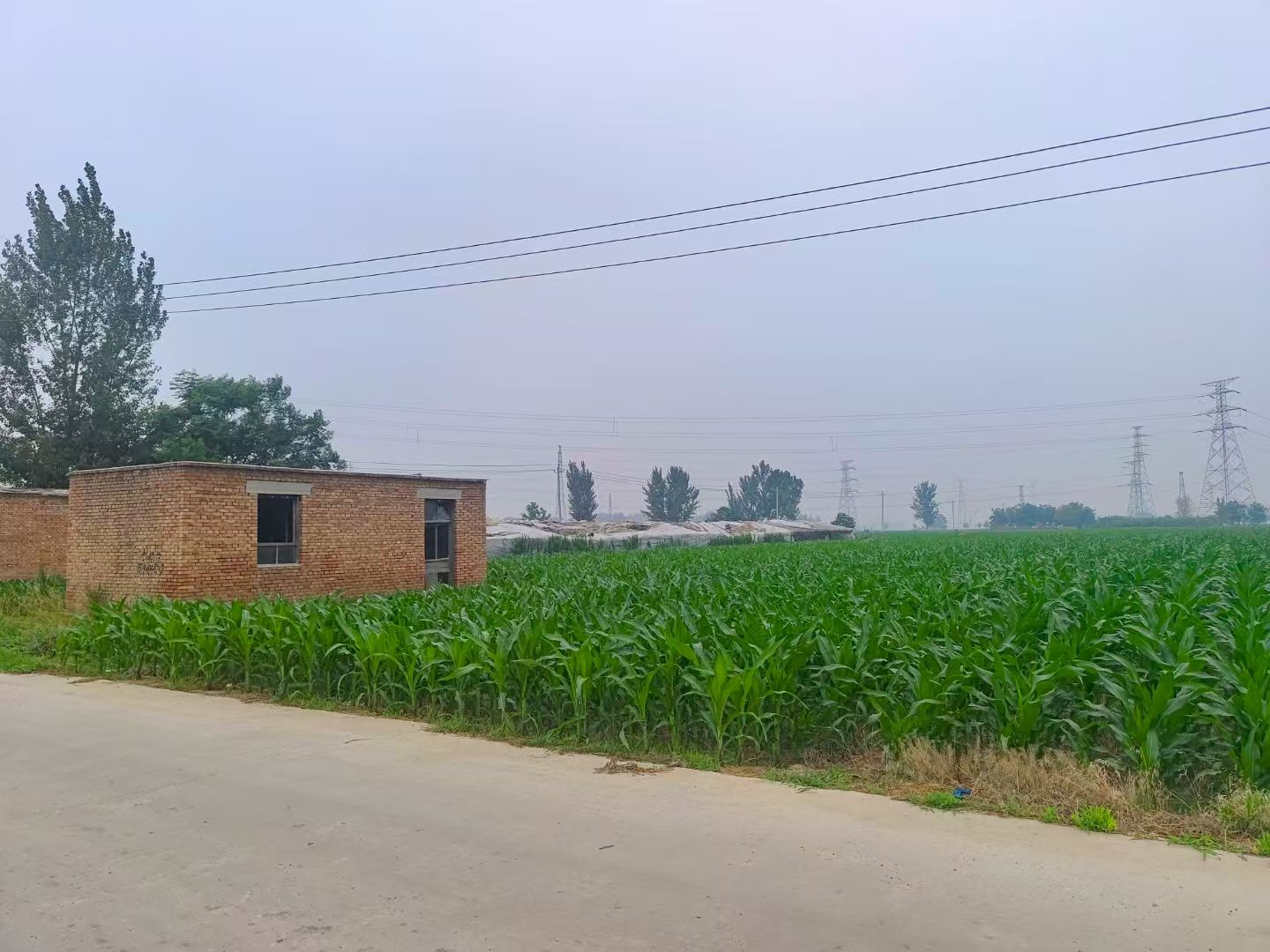 ��(chu��ng)�w�Ƽ���(sh��)�`�F(tu��n)��ʢ�ʹ��_(k��i)չ����Ѳ�z�{(di��o)�����Ƽ��������N�P��