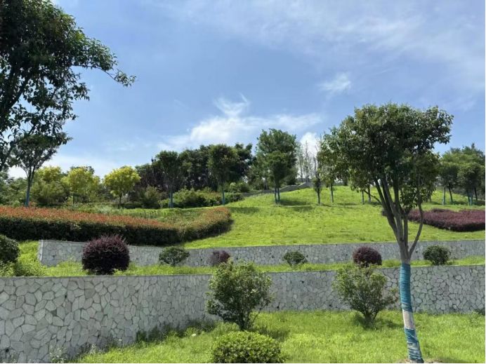 �����W(xu��)Ժ��̽�����B(t��i)�ޏ�(f��)�c�Ļ�����֮·