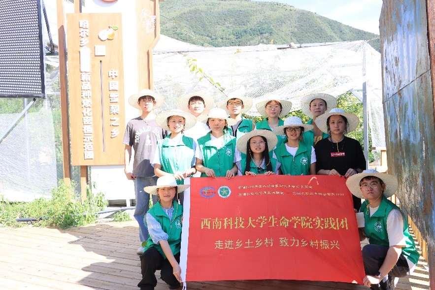 ��ѩ���ý��������¸���оƬ��