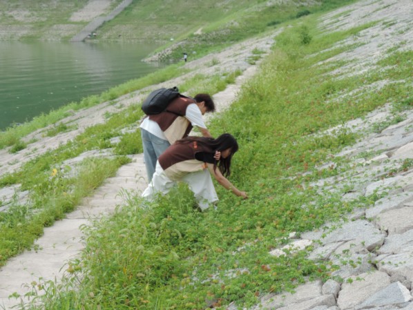 �ഺ�����o���L�����B(t��i) ��h�|���WԺ�W�Ӹ��}�w�_չ��S���`�Є�