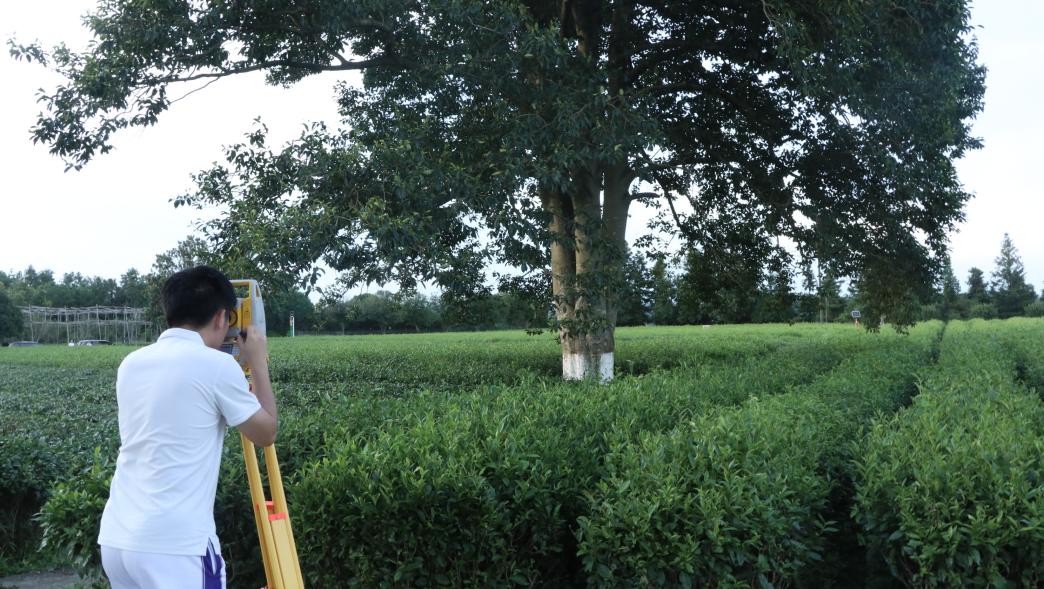 ��W(xu��)����΢���Ĳ�@���F(xi��n)���^����������