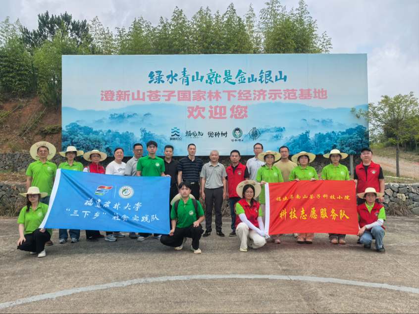 �D5  �I(l��ng)������������  ����褔z