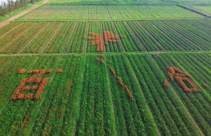 �����֮�L���P�ٺ�֮��