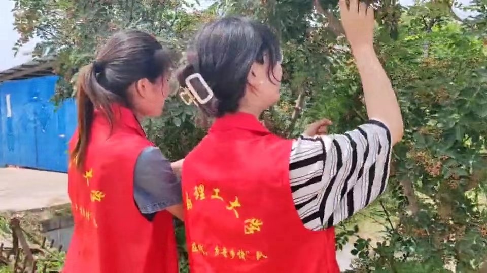 ΢�ňDƬ_20240717002717