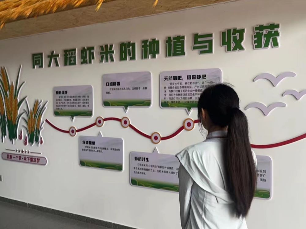 �����ڡ������l(xi��ng)�������(sh��)�`���}������ഺ���������l(xi��ng)�����d���������l(xi��ng)����Ӿ`�Žk��֮��