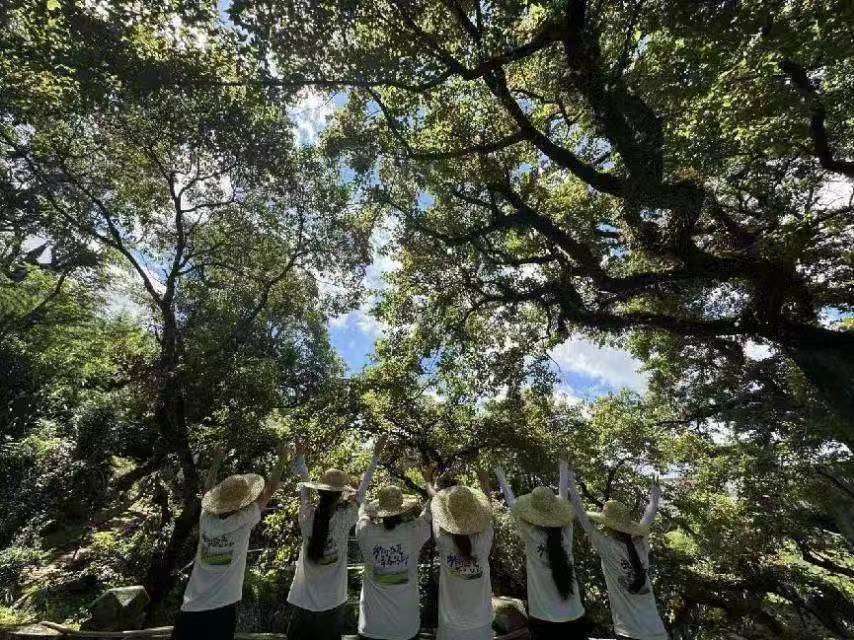 Ȫ�ݽ�(j��ng)�Q(m��o)��(hu��)��ϵ�����l(xi��ng)���sʢ�� �ഺ�V�С� �����l(xi��ng)�������(hu��)��(sh��)�`