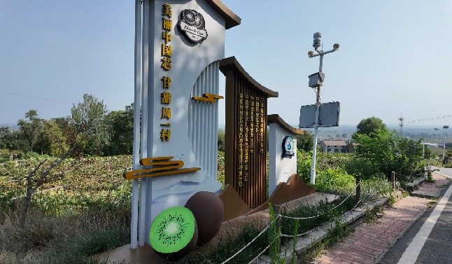 �P���L�����d�����J�Ҵ����l(xi��ng)���d