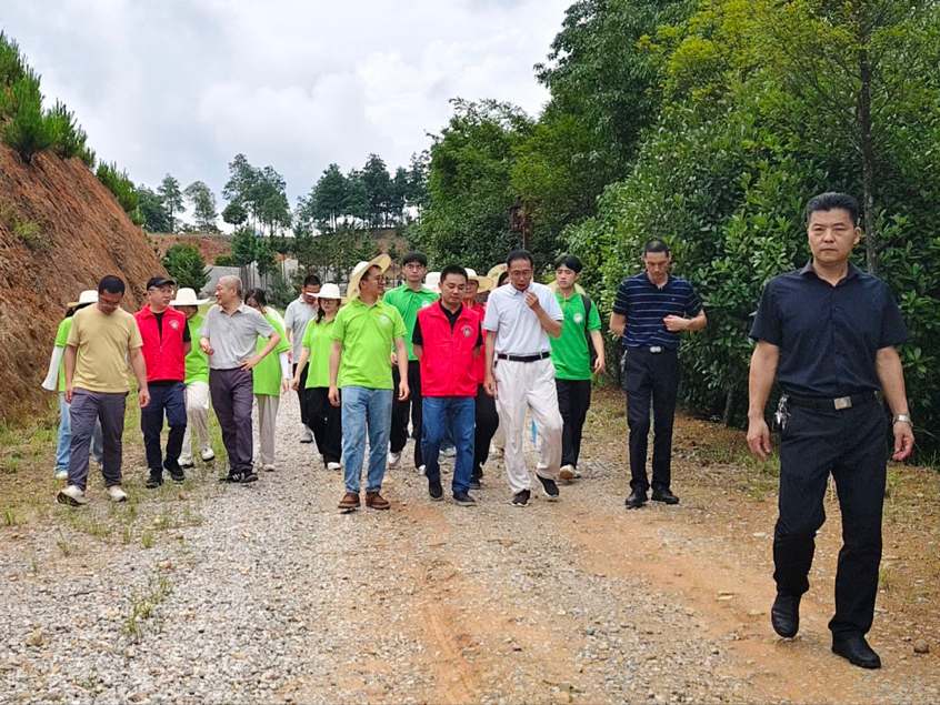 �D4  ���`��c���f(xi��)����ϯꐶ�����һ����̽ӑɽ�n���о�  ����褔z